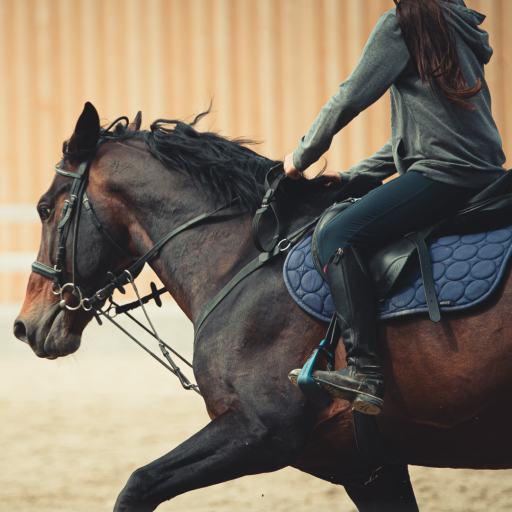 Jazda konna a trening siłowy