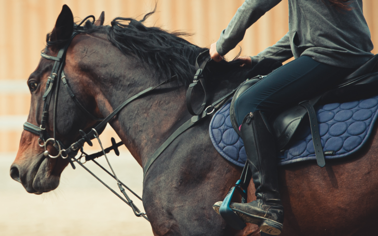 Jazda konna a trening siłowy