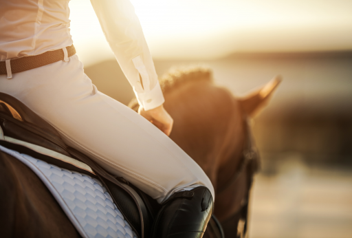 Stabilizacja w siodle – czyli po co silny core w jeździe konnej?